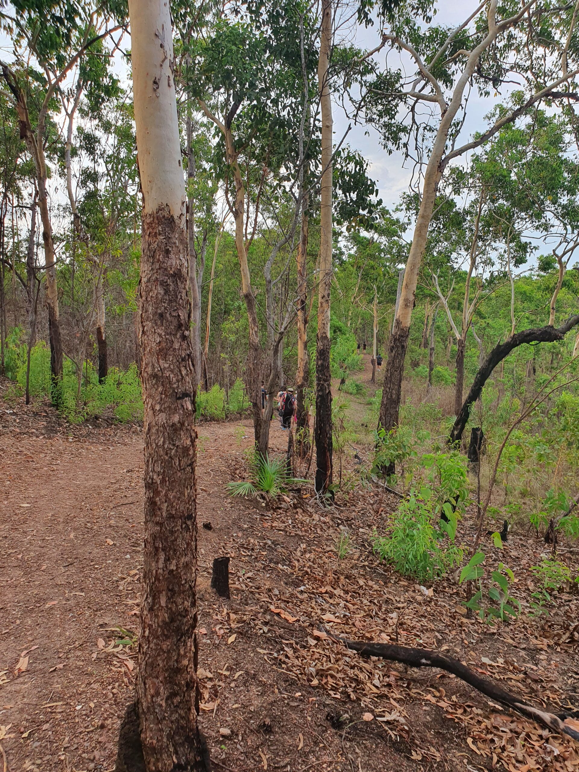 Bushwalkers