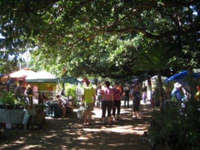 Tropical Garden Spectacular Stalls