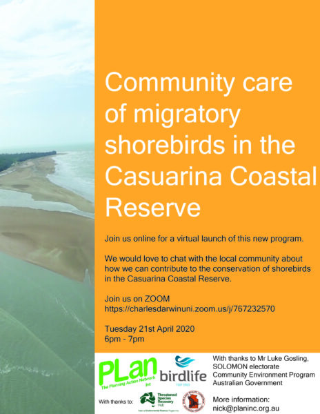 Community care of migratory shorebirds – online event